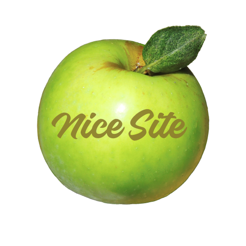 Nice Site Logo